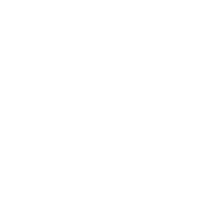 logo-bbin